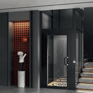 Hydraulic Home Elevator in philippines