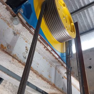 WhatsApp Image 2026-04-06 at 1.08.06 PM