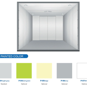 color option for car and cargo lift